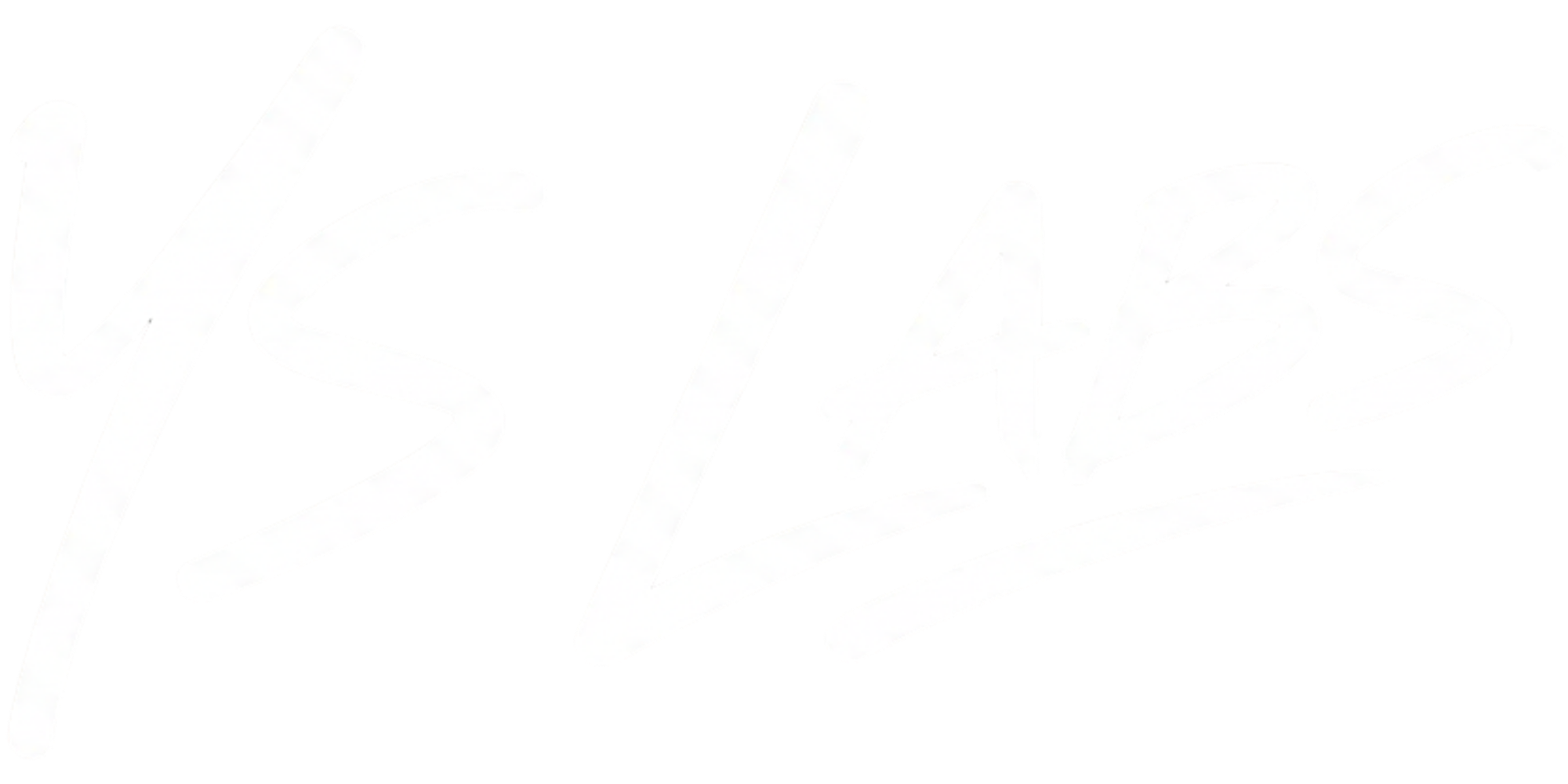 YS LABS